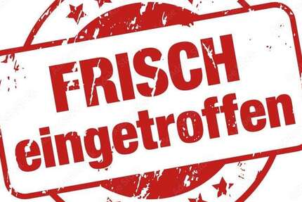 Dacia Logan 126.518 km 5.999 &euro; essen 45326