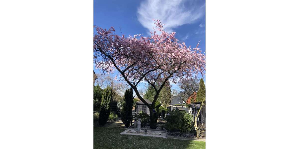 Einfamilienhaus Marl Alt-Marl - 8 Zimmer, 390 m&sup2;, 899.000&euro; | Angebot:24638993