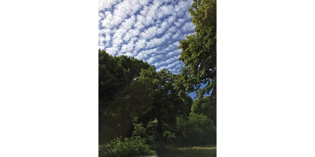 Etagenwohnung Lünen - 3.5 Zimmer, 94 m&sup2;, 990&euro; | Angebot:25723685