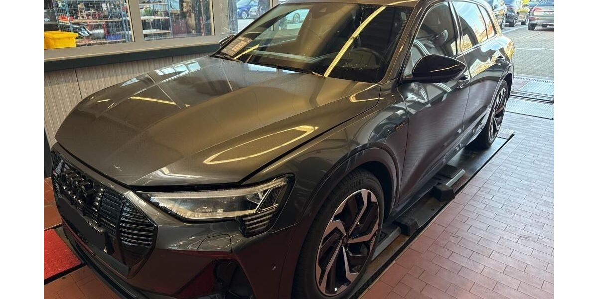 Audi e-tron 46.568 km 36.080 &euro; Hagen 58091
