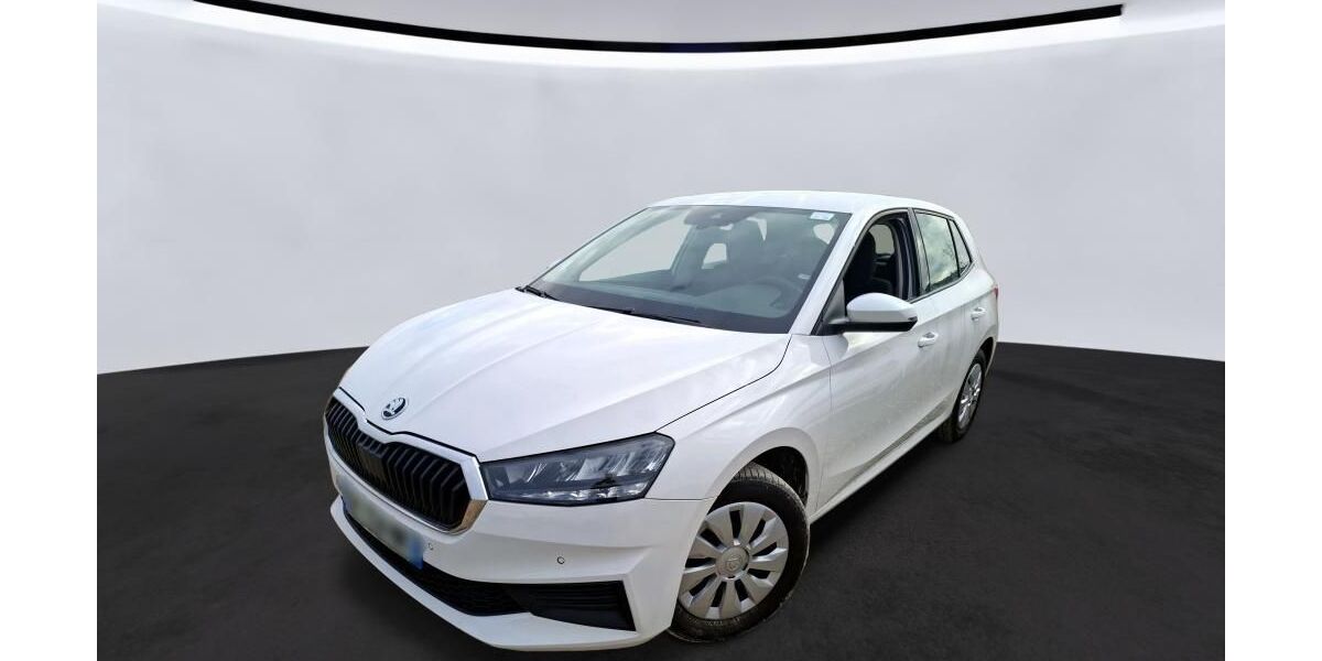 Skoda Fabia 53.513 km 11.700 &euro; Hagen 58091