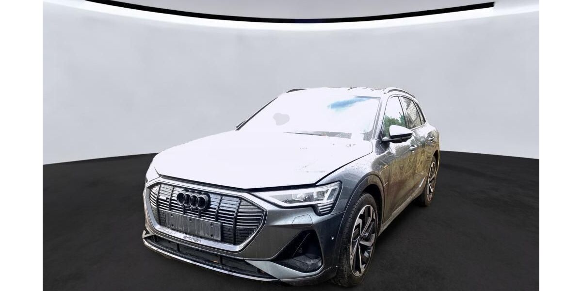 Audi e-tron 62.727 km 34.650 &euro; Hagen 58091